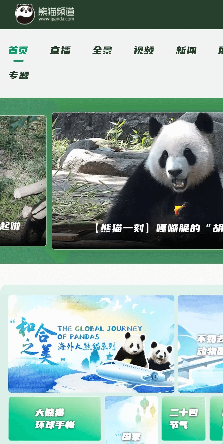 由央视网打造的以大熊猫为主题的网站-免费的熊猫频道